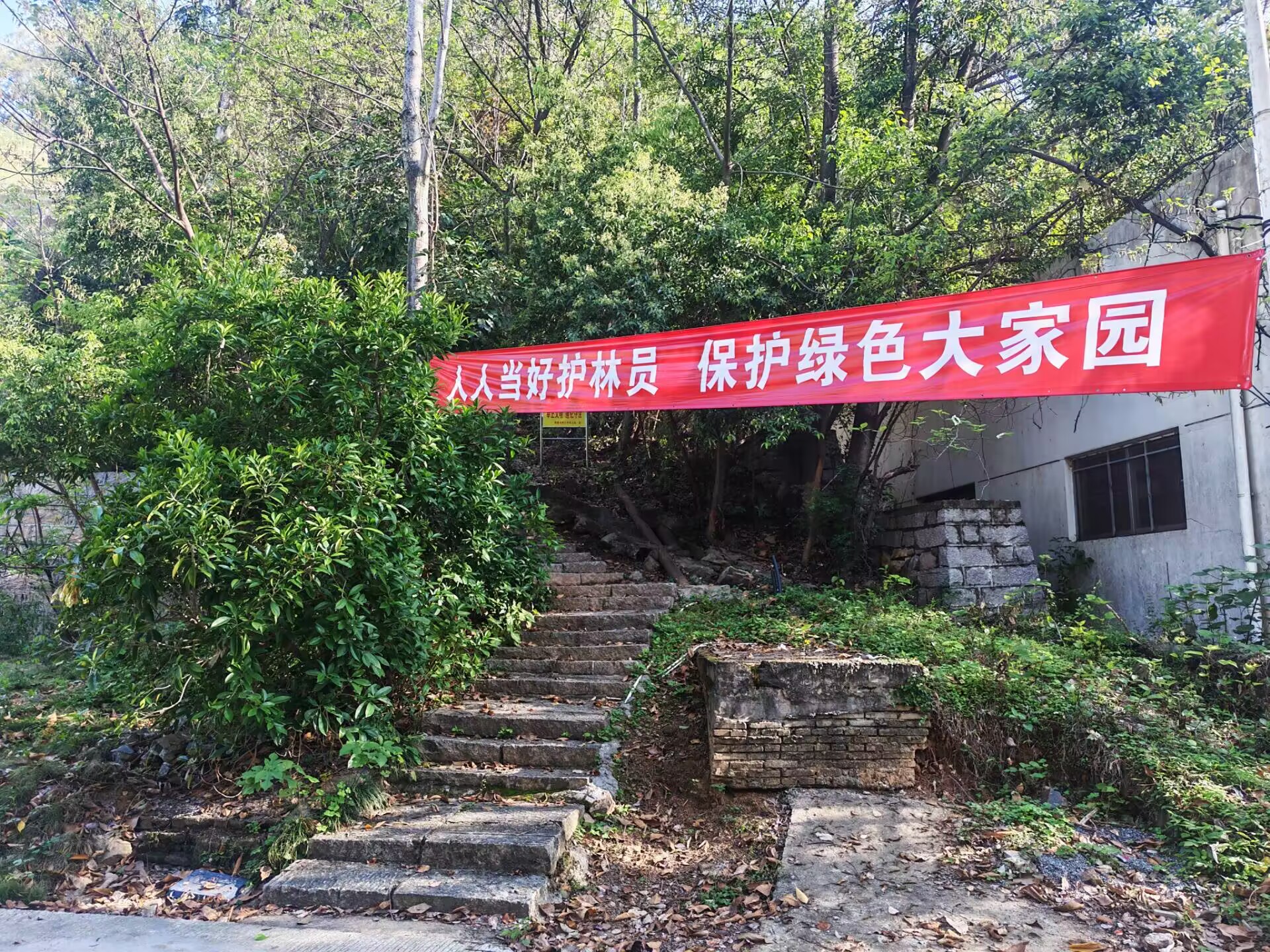 山林主要入口设置宣传横幅.jpg