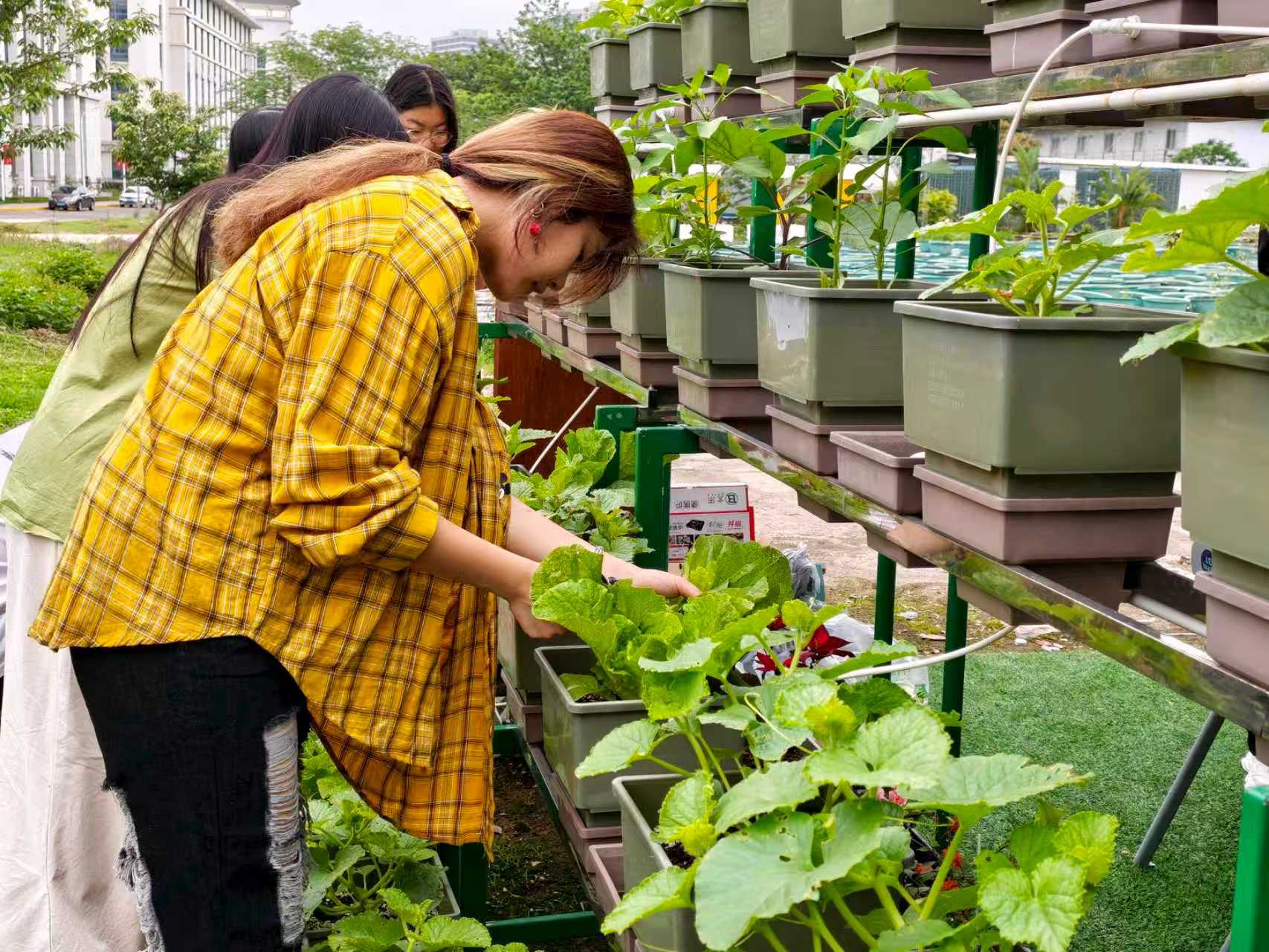 e78fdfc4b87f106f2c524112f35ff11c.jpg e78fdfc4b87f106f2c524112f35ff11c.jpg